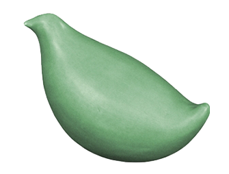 bigceramicstore-com,Amaco Matt Glaze LM42 Parakeet Green,Amaco,Glazes - Low-fire