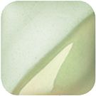 bigceramicstore-com,Amaco Velvet Underglazes V372 Mint Green,Amaco,Glazes - Underglazes