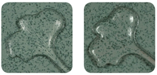 bigceramicstore-com,Amaco Alligator Glaze LT16 Green Stone (O1),Amaco,Glazes