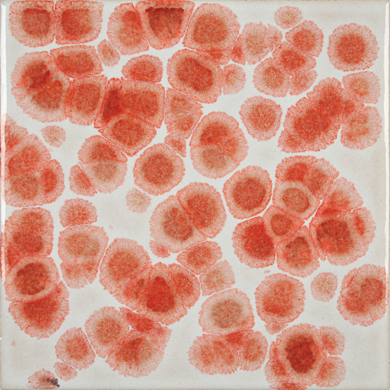 bigceramicstore-com,Amaco Glaze Crystals AC57 Orange,Amaco,Glazes
