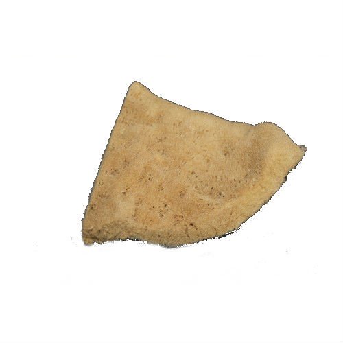 Natural Elephant Ear Throwing Sponge image 3