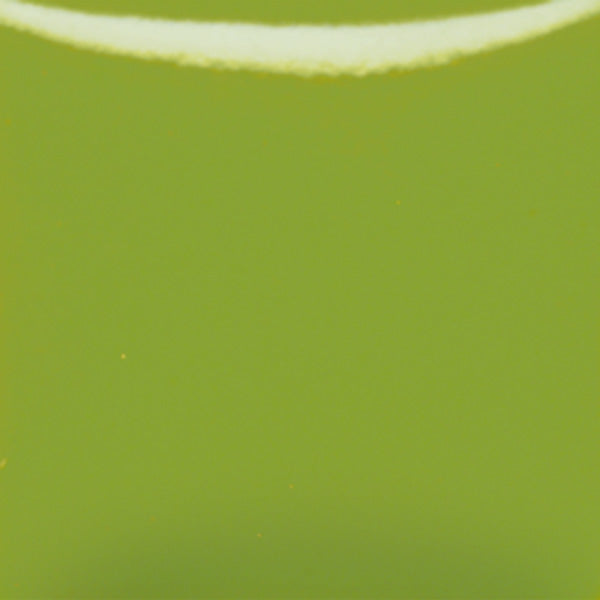 bigceramicstore-com,Duncan Envision Glazes Light Kiwi IN1062,Duncan,Glazes - Low-fire