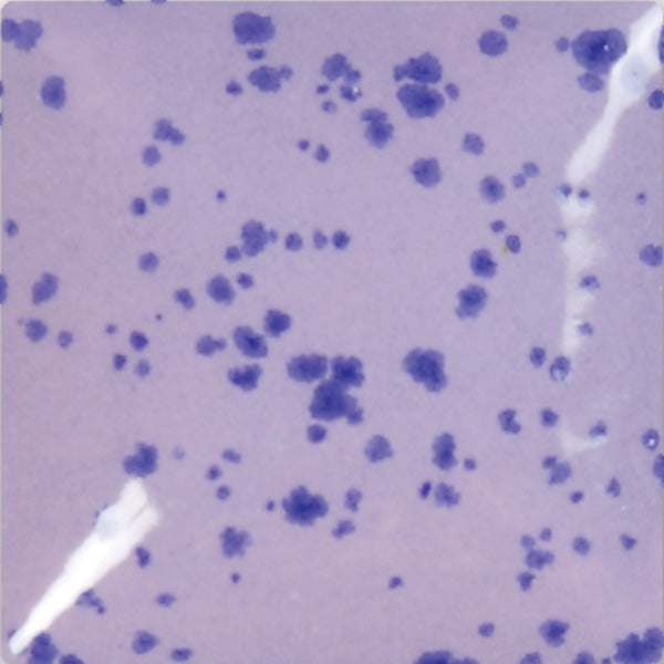 bigceramicstore-com,Duncan Envision Glazes Orchid Sprinkles IN1213,Duncan,Glazes