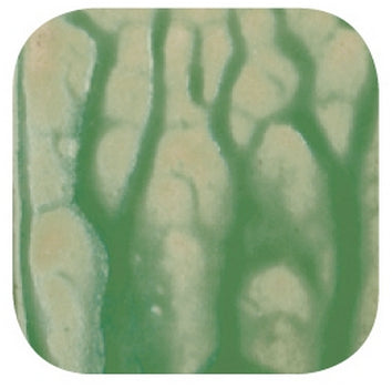 bigceramicstore-com,Amaco Magic Flow Glaze MF40 Dark Green,Amaco,Glazes - Low-fire