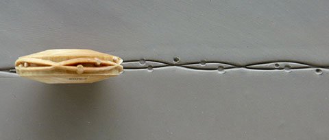 MKM FR-20 Star Flow Pattern Finger Roller image 2