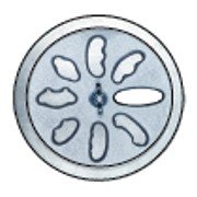 bigceramicstore-com,Handle die set for 4" Scott Creek Super Duper Clay Extruder (8 shapes),Scott Creek,Equipment - Die Sets