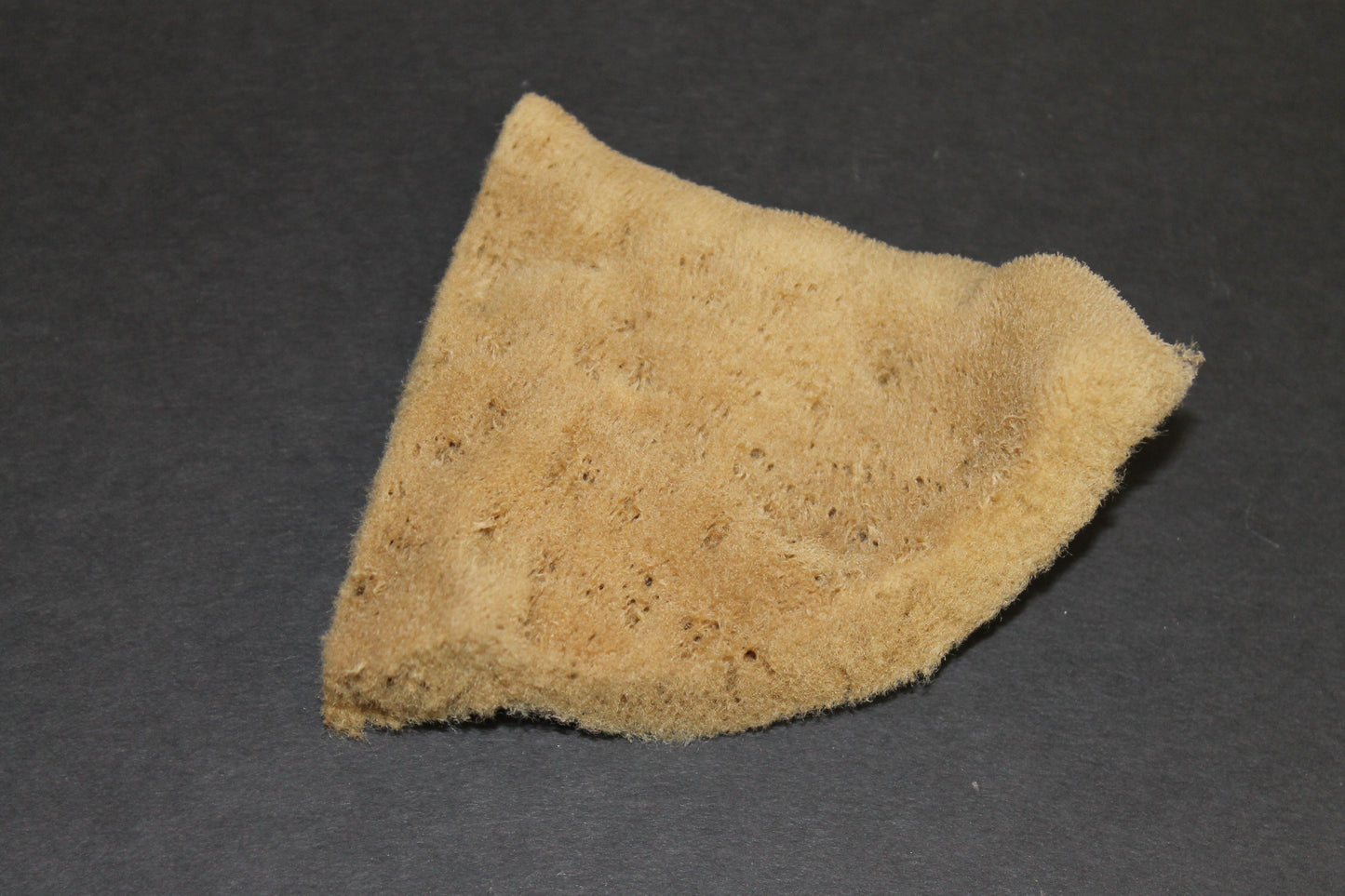 Natural ""Elephant Ear"" Throwing Sponges Small image 1