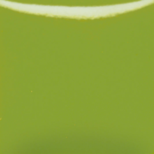 bigceramicstore-com,Duncan Envision Glazes Light Kiwi IN1062,Duncan,Glazes - Low-fire