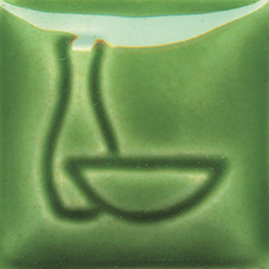 bigceramicstore-com,Duncan Envision Glazes Foliage Green IN1640,Duncan,Glazes - Low-fire