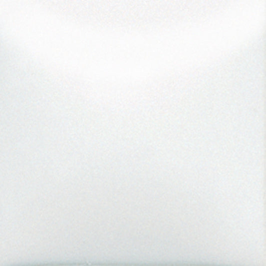 bigceramicstore-com,Duncan Envision Glazes Downright White IN1653,Duncan,Glazes - Low-fire