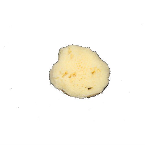 Silk Sponge image 1