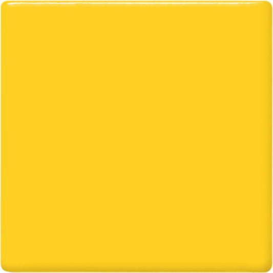 Amaco-TP-62-Maize